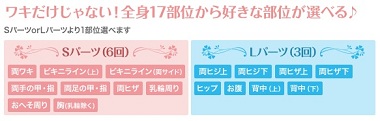 ファーストプラン説明